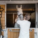 Vienna: Secrets of the Fiaker & Horse-Drawn Carriage Ride - The Fiaker Carriage Ride: A Journey Through Vienna’s Streets