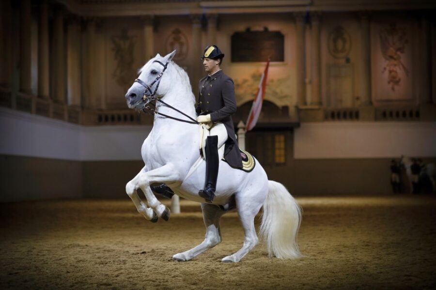 Vienna: Spanish Riding School 45-Minute Performance Show - The 45-Minute Performance: Classical Horsemanship in Action