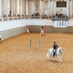 Vienna: Spanish Riding School Training - What the Training Encompasses