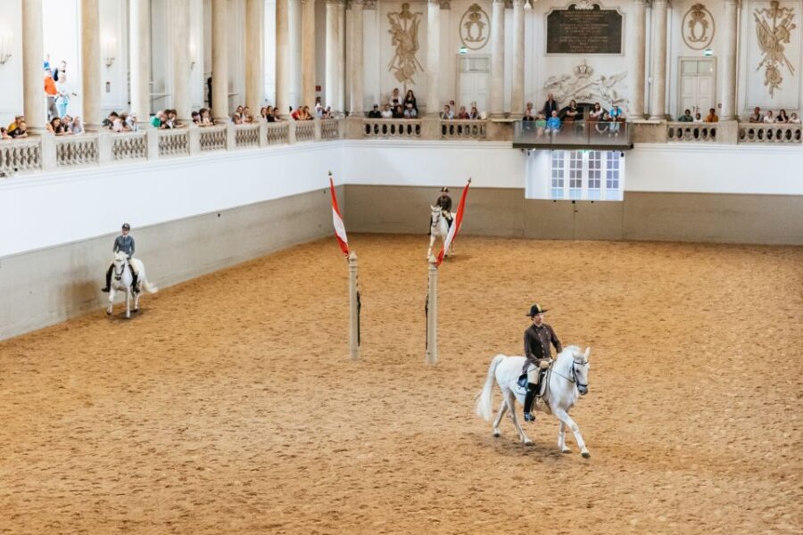 Vienna: Spanish Riding School Training - What the Training Encompasses