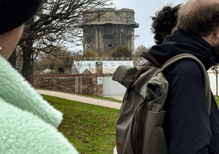 Vienna: Ugly Vienna Guided Walking Tour - The Focus on Vienna’s Less Attractive Architecture