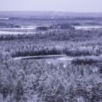 Vikakongas Hike: Nature and Silence - Starting Your Arctic Journey from Rovaniemi