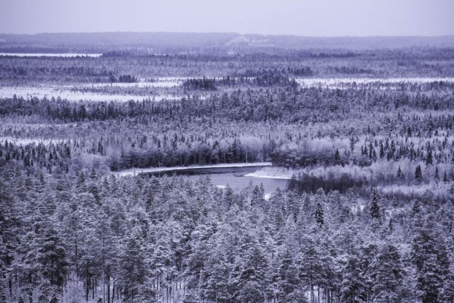 Vikakongas Hike: Nature and Silence - Starting Your Arctic Journey from Rovaniemi