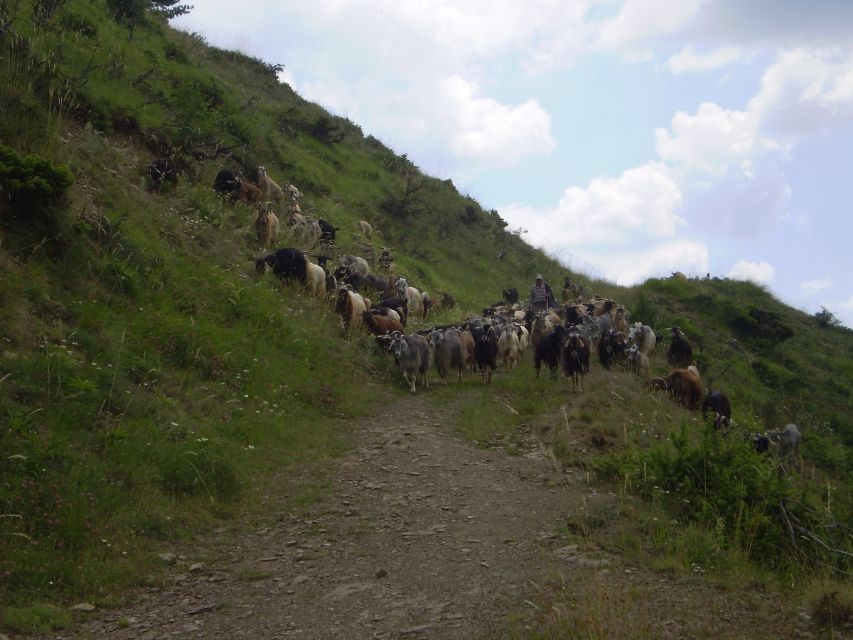 Vikos Gorge Beloi Viewpoint 3-Hour Hike - The Route to the Beloi Viewpoint in the Pindus Mountains