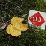 Vikos Gorge crossing hiking from Monodentri to Vikos village - Highlights of the Vikos Gorge Route