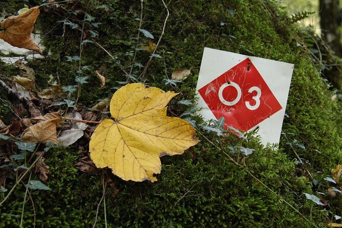 Vikos Gorge crossing hiking from Monodentri to Vikos village - Highlights of the Vikos Gorge Route