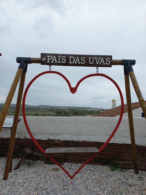 Vila de Frades: Talha Wine Tour with Tastings - Starting Point: Marquis of Pombal Square in Lisbon