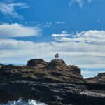 Vila Franca do Campo: Marine Life & Bird Watching & Islet Tour - Exploring the Marine Life of the Azores