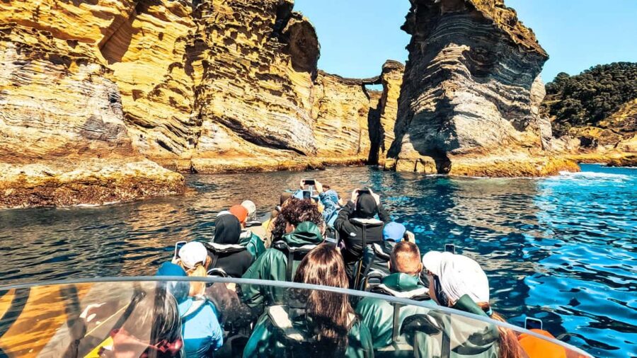 Vila Franca Islet: Biologist Guided Eco Boat Tour - Exploring Vila Franca do Campo Marina as Your Starting Point