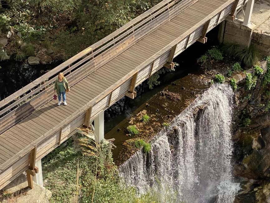 Vila Real: Corgo Walkways & Alvão Natural Park Day Trip - Vila Real: Corgo Walkways & Alvão Natural Park Day Trip — A Detailed Review