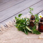 Villacidro - The Cogas ointment: the secrets of herbs - Starting in a Nature-Quiet Village Setting