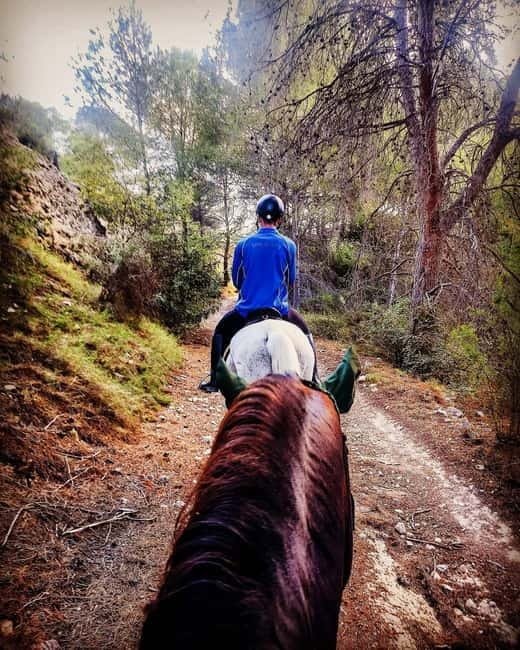 Villajoyosa: Horseback Riding in the Mountains - Meeting Point and Transportation Options