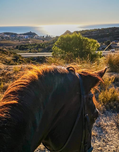 Villajoyosa:2-hour Horseback Riding Tour - The Scenic Mountain Trails Near Villajoyosa
