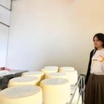Villanova Monteleone: visit a dairy farm with cheese tasting - Discover the Villanova Monteleone Dairy Farm Location