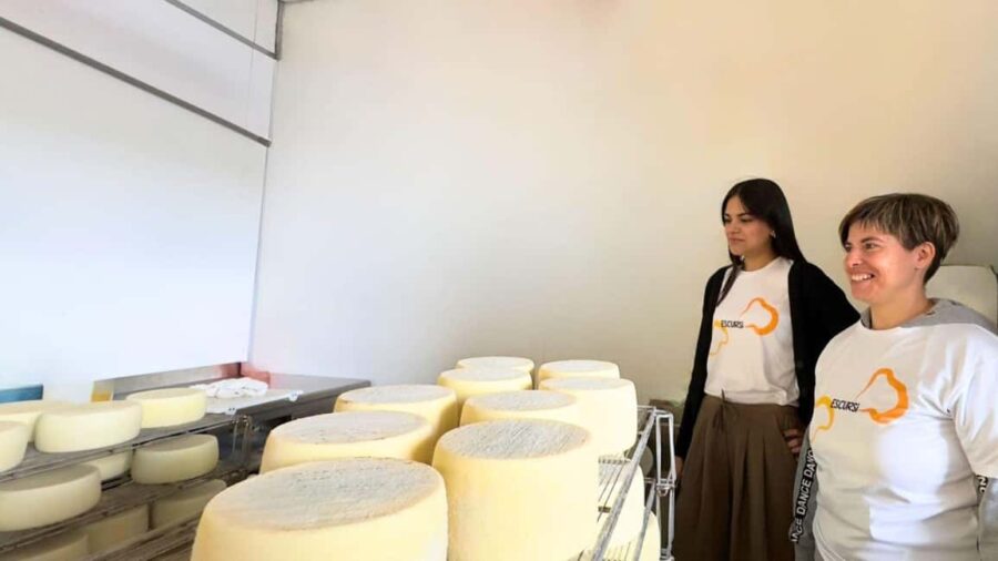 Villanova Monteleone: visit a dairy farm with cheese tasting - Discover the Villanova Monteleone Dairy Farm Location