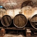 Villarbasse: Wine Tasting in the Historic Vineyards - Who Will Appreciate This Tour?