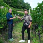vineyard experience - Wine Tasting: Classic and Local Varieties