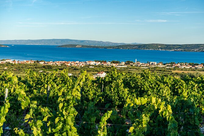 Vineyard Experience: Wine Tasting near Split - Scenic Drives Through Kastel Novi and Kastela