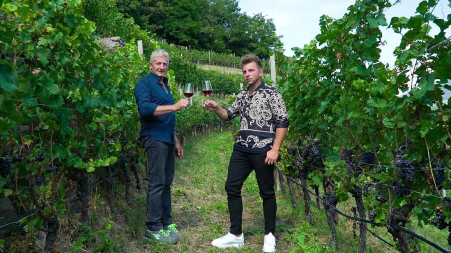 vineyard experience - Wine Tasting: Classic and Local Varieties