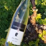 Vineyard tour around Nordheim am Main on the Main Loop - Guided Tour with Eva-Marie Sauer: Insight and Personal Touch