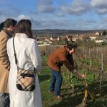 Vineyard tour & Tasting of all our lineup - Tasting All the Champagne and Spirits Lineup