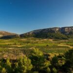 vingrau : wine tasting - Learning About Terroir and Winemaking Techniques