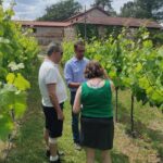 Vinho Verde 2 Wineries + Cultural Guimarães - Private/from Porto - Practicalities: Transportation, Guide, and Comfort