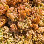 Vinho Verde Experience with 2 Wineries and Lunch - Departing from Porto with Scenic Views to Melgaço