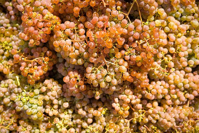 Vinho Verde Experience with 2 Wineries and Lunch - Departing from Porto with Scenic Views to Melgaço