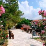 Vino Venture: Explore With A Local - Troodos Mountains thru Wine! - Visiting Award-Winning Wineries in the Troodos Mountains