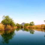 Virpazar: Guided Lake Skadar Cruise and Crnojevia River - Starting Point in Virpazar and Meeting Details