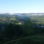 Visit among vineyards and wine cellar with wine tasting in Nizza Monferrato - Walking Through the Vineyards with Susanna and Alberto