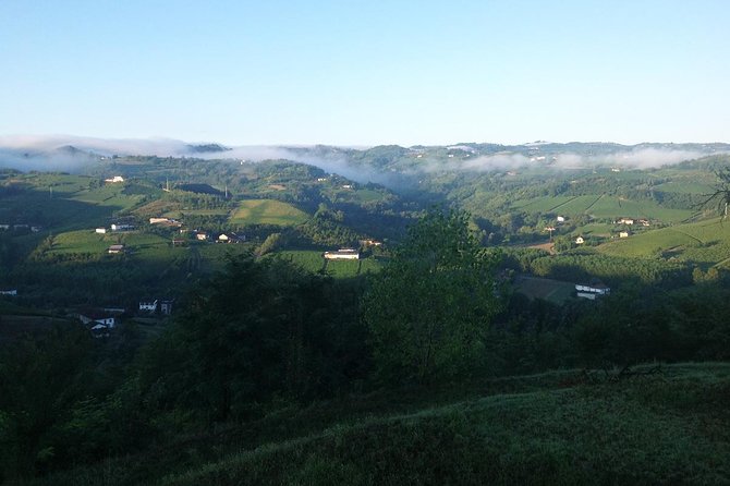 Visit among vineyards and wine cellar with wine tasting in Nizza Monferrato - Walking Through the Vineyards with Susanna and Alberto
