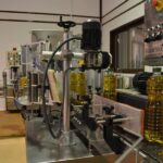 Visit an almazara + extra virgin olive oil tasting: Baeza - An In-Depth Look at the El Alcazar Olive Mill