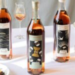 Visit and Tasting, The secrets of Haut-Armagnac - Discovering the Haut-Armagnac Terroir and Grape Varieties