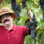 Visit and tasting with the producer - Guided Visit with the Producer in Venetian Cellar Settings