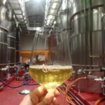 Visit and wine tasting with sausage and BODEGA PIRINEOS cheese - Starting Point: Visiting Bodega Pirineos in Barbastro