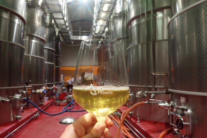 Visit and wine tasting with sausage and BODEGA PIRINEOS cheese - Starting Point: Visiting Bodega Pirineos in Barbastro