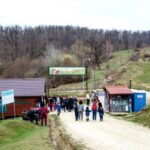 Visit Bear Sanctuary and Bran Castle from Brasov - Visiting LiBEARty Sanctuary: Home to Over 100 Rescued Bears