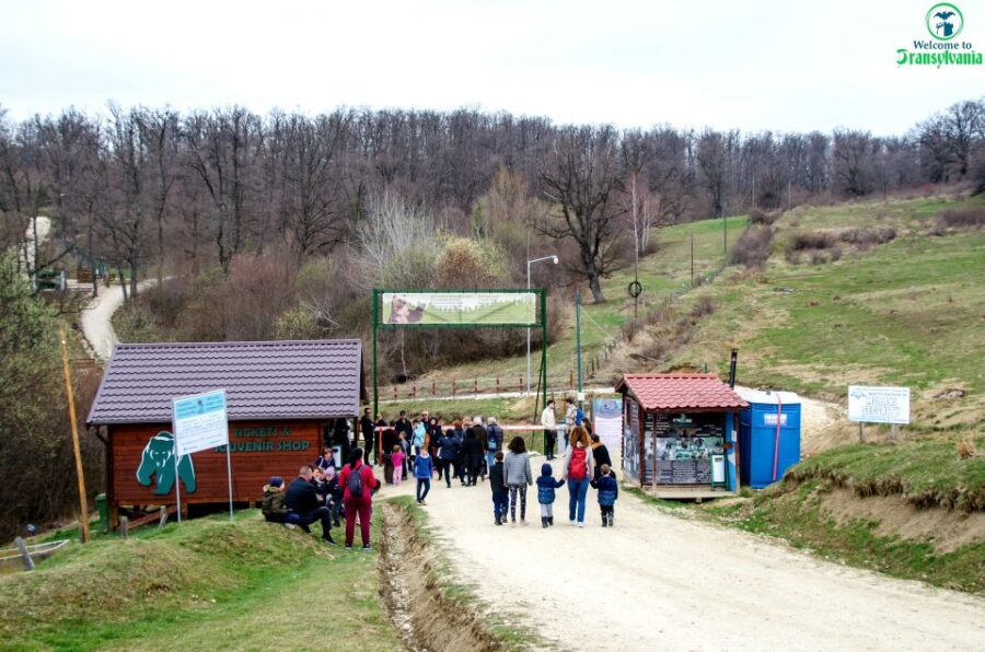 Visit Bear Sanctuary and Bran Castle from Brasov - Visiting LiBEARty Sanctuary: Home to Over 100 Rescued Bears