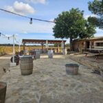 Visit Bodegas Bordoy, taste 5 wines, and enjoy finger food - Frequently Asked Questions