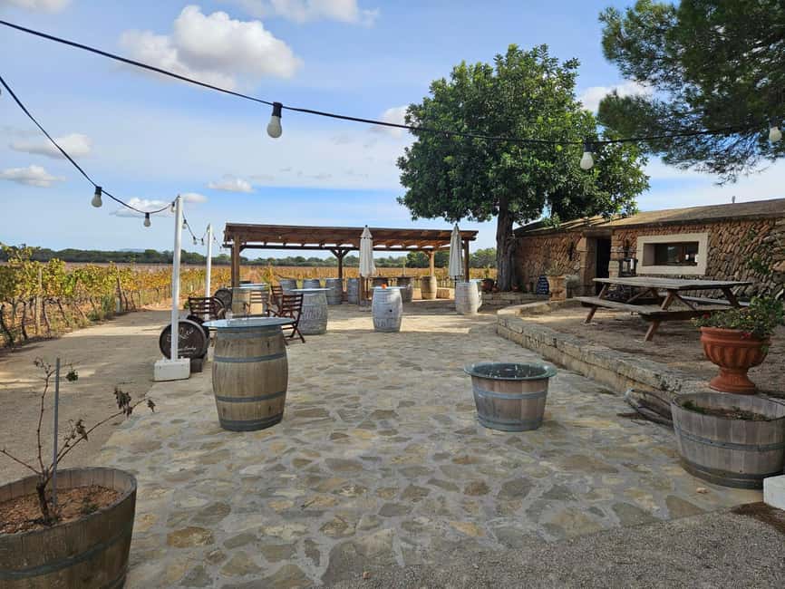 Visit Bodegas Bordoy, taste 5 wines, and enjoy finger food - Frequently Asked Questions