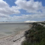 Visit Camargue and Espiguette Lighthouse from Montpellier - Departure Logistics and Group Experience in Montpellier