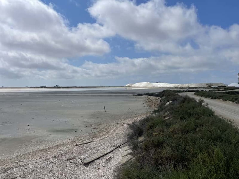 Visit Camargue and Espiguette Lighthouse from Montpellier - Departure Logistics and Group Experience in Montpellier