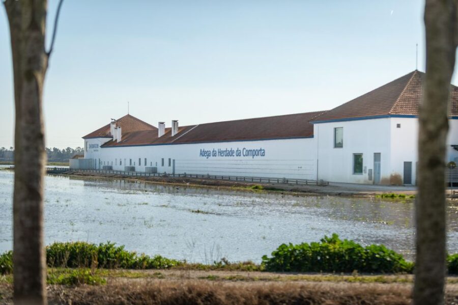 Visit Herdade da Comporta Winery - The Scenic Location and Its Cultural Significance