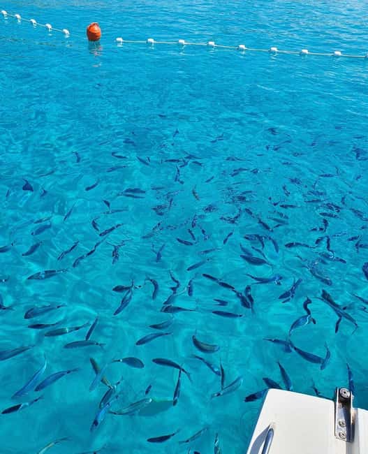 Visit Island of Dugi Otok with Golubinka Cave or NP Kornati - Departure Point and Meeting Arrangements in Zadar