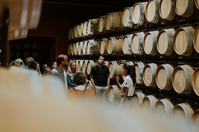 Visit La Joya Escondida de la Ribera del Duero Winery - From the Vineyard to the Cellar: Exploring Finca Villacreces