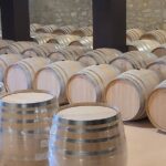 Visit of Marques de Riscal & Boutique Winery from Bilbao - Scenic Drive Through the Ebro Valley