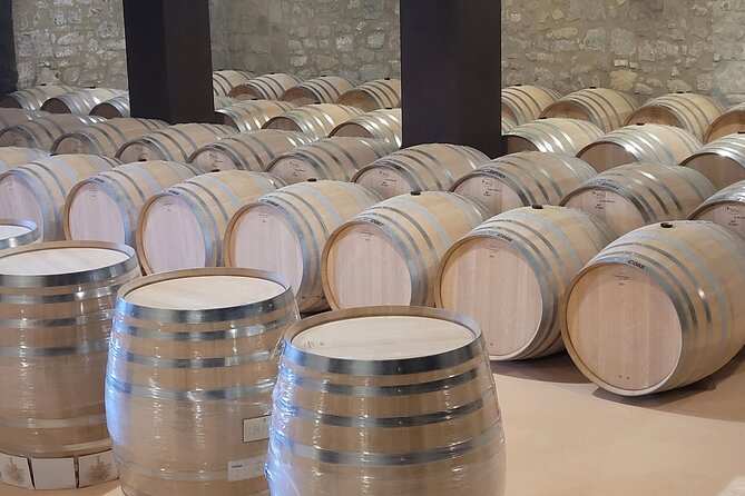 Visit of Marques de Riscal & Boutique Winery from Bilbao - Scenic Drive Through the Ebro Valley