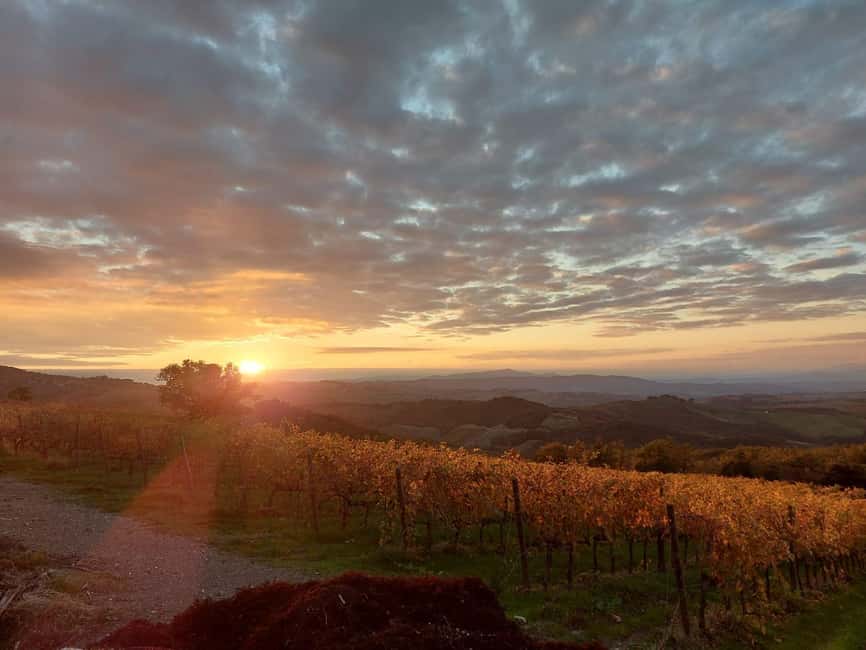 Visit our scenic winery and enjoy a tasting of award-winning organic wines - The Stunning Setting of Basile Organic Winery